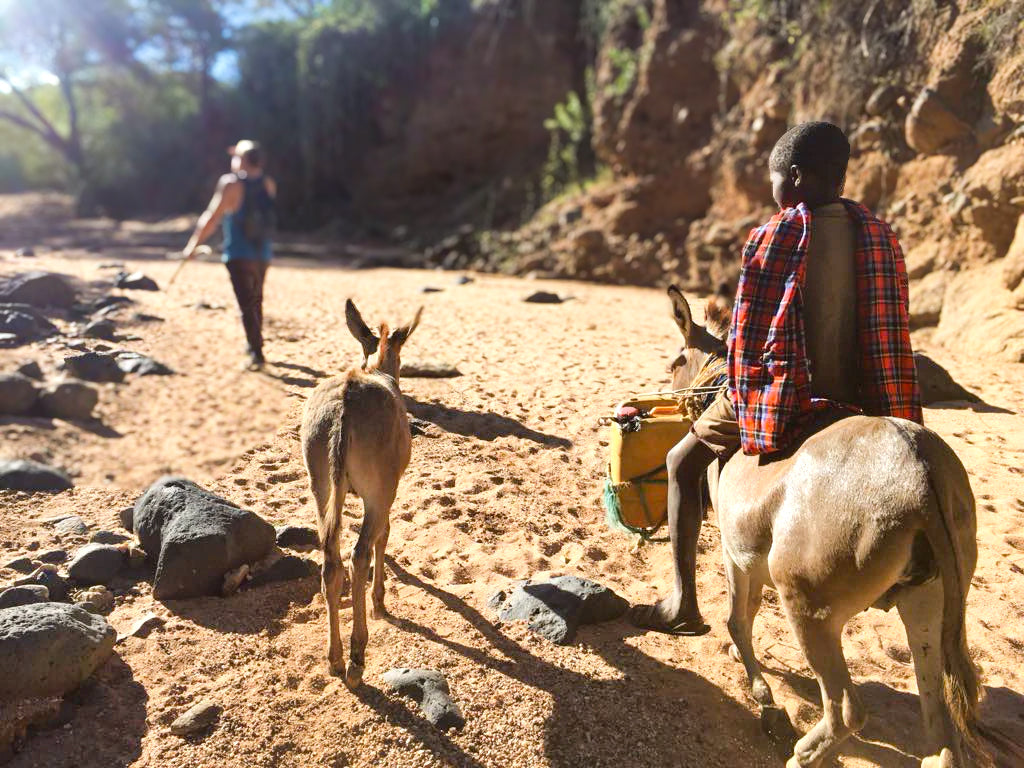TANZANIE - 21 au 31 juillet 2026