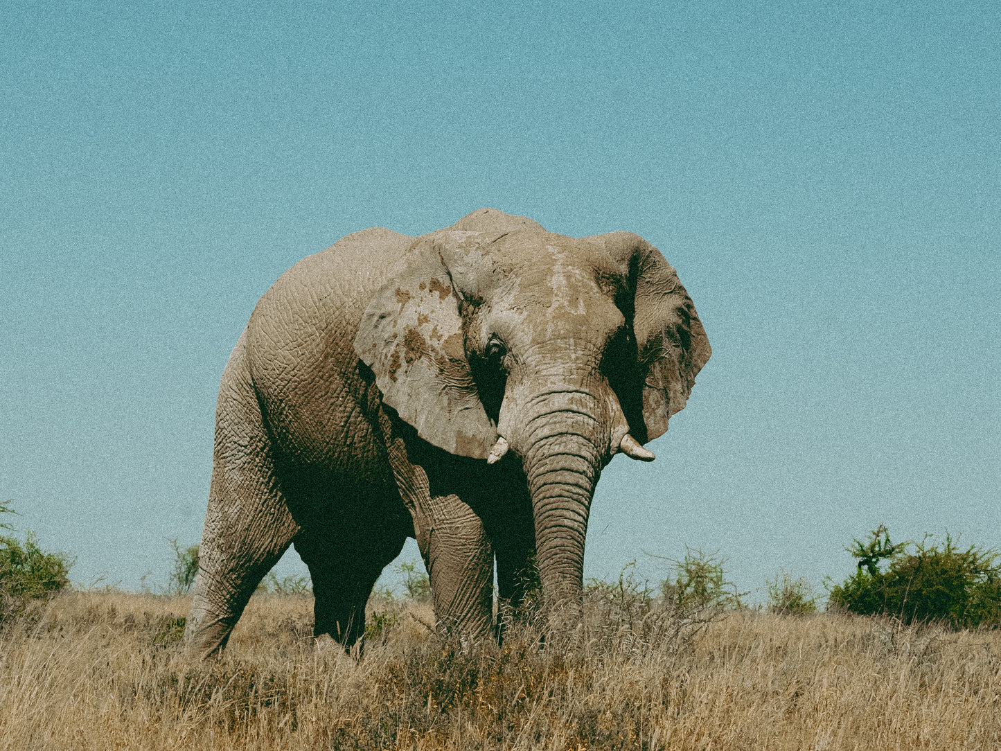 NAMIBIE / DÉPART COMPLET - 31 mai au 16 juin 2025