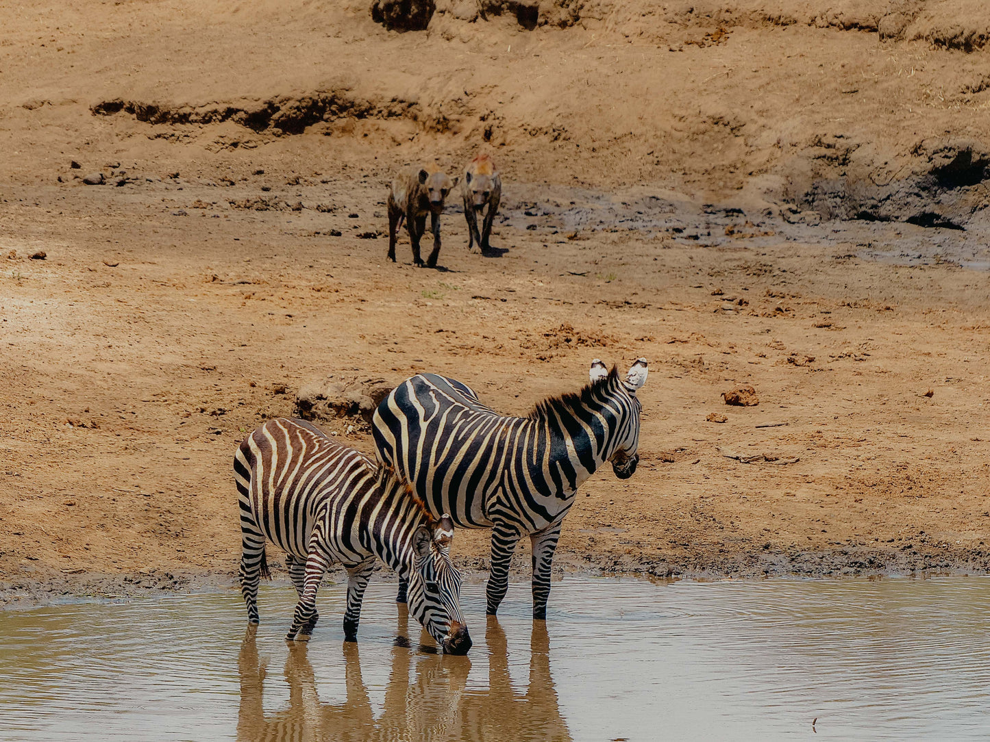 TANZANIE - 21 au 31 juillet 2026