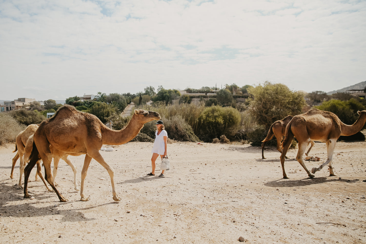 MAROC