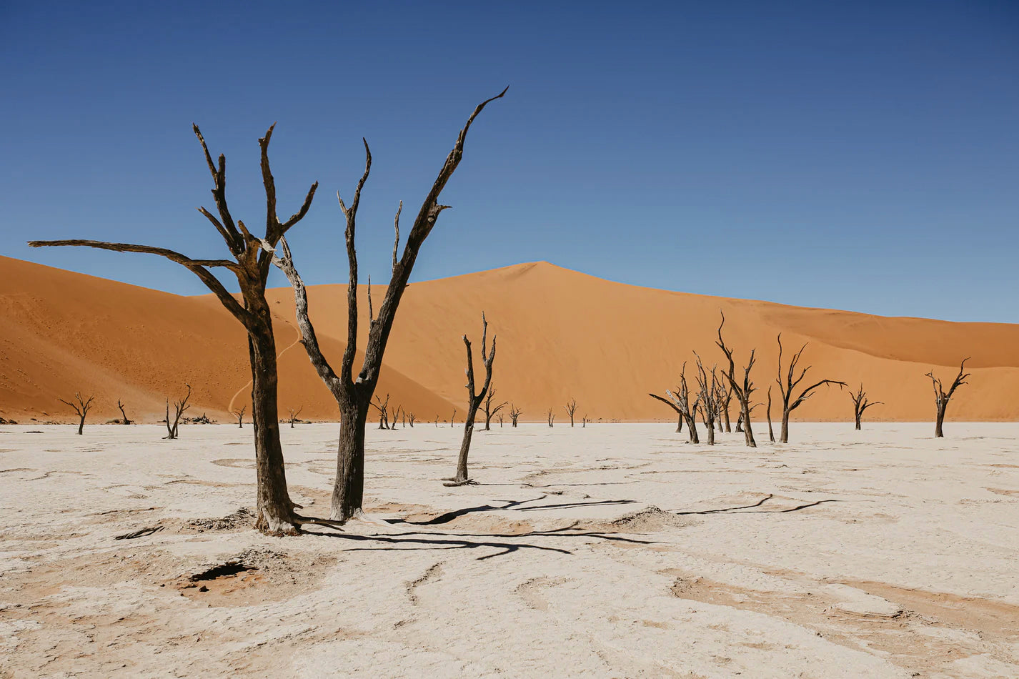 NAMIBIE - 31 mai au 16 juin 2025