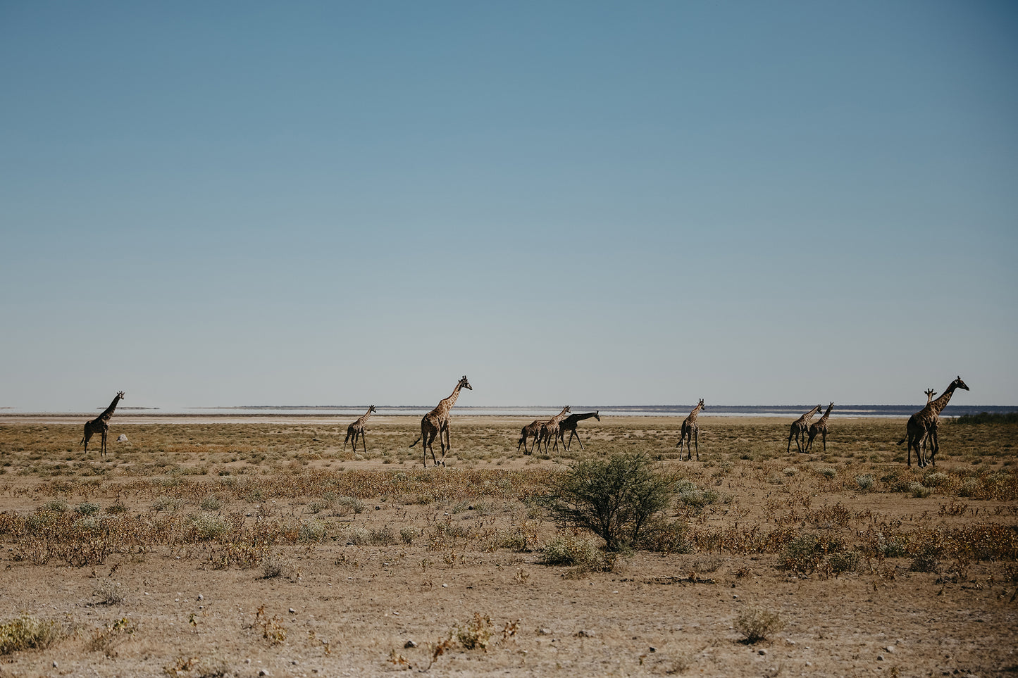 NAMIBIE - 31 mai au 16 juin 2025