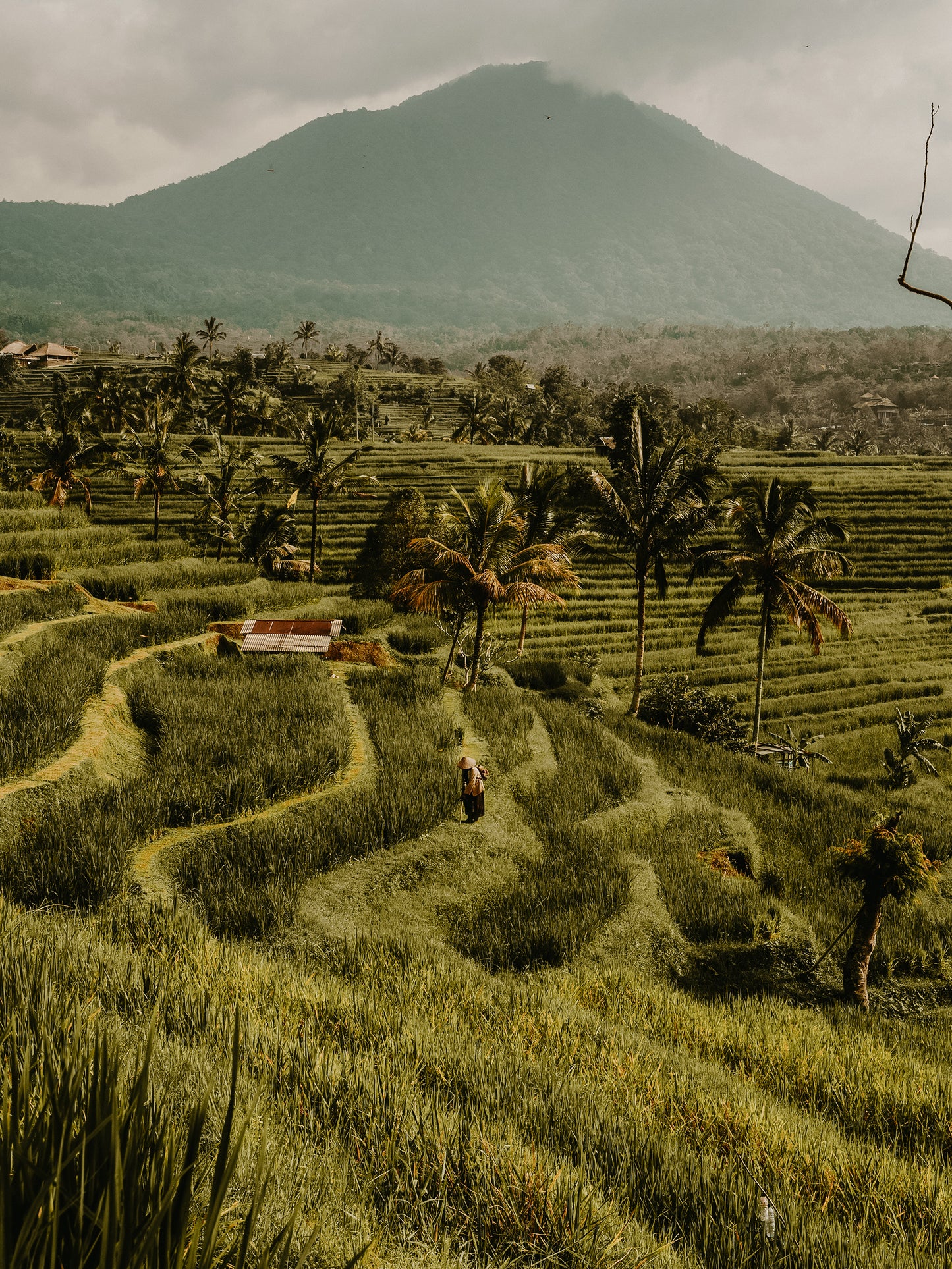 BALI