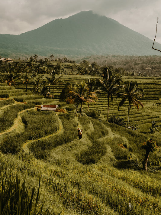 BALI