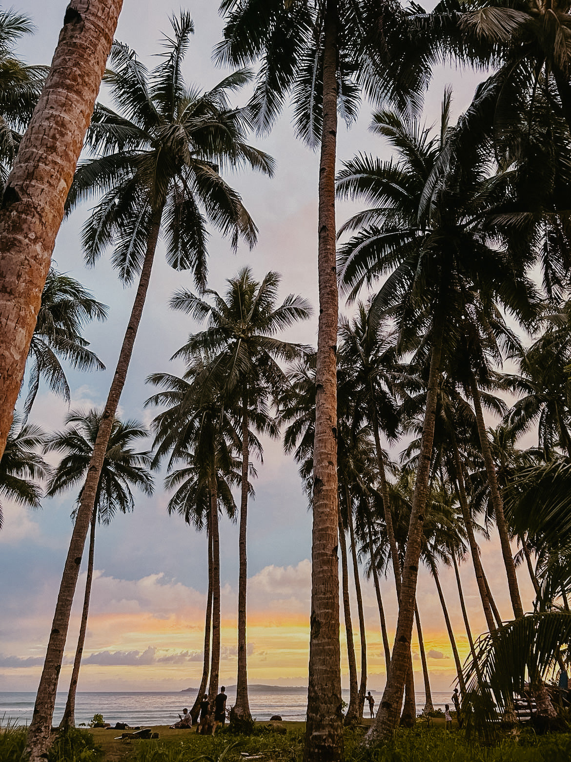 PHILIPPINES - 17 février au 7 mars 2025