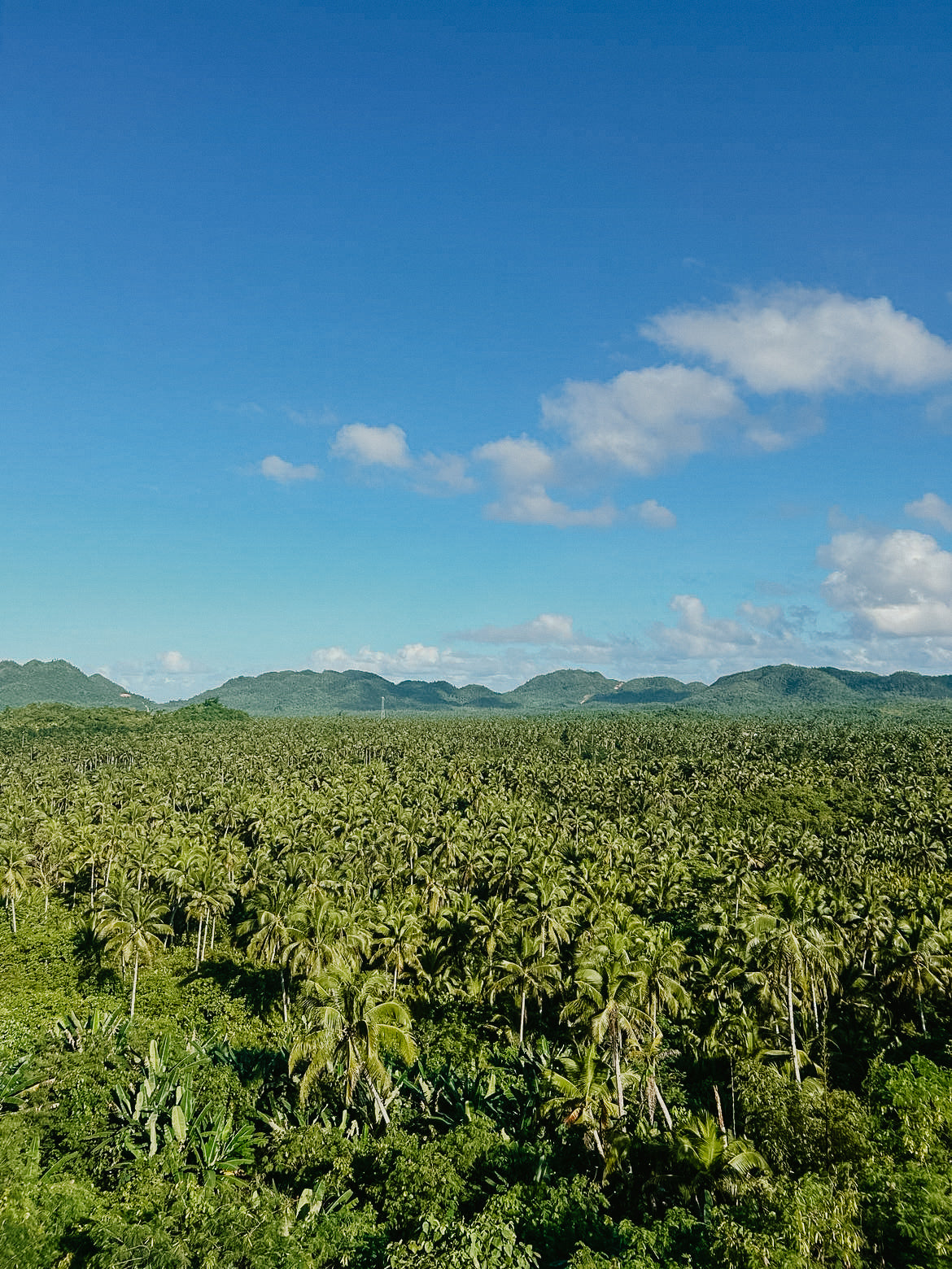 PHILIPPINES - 17 février au 7 mars 2025