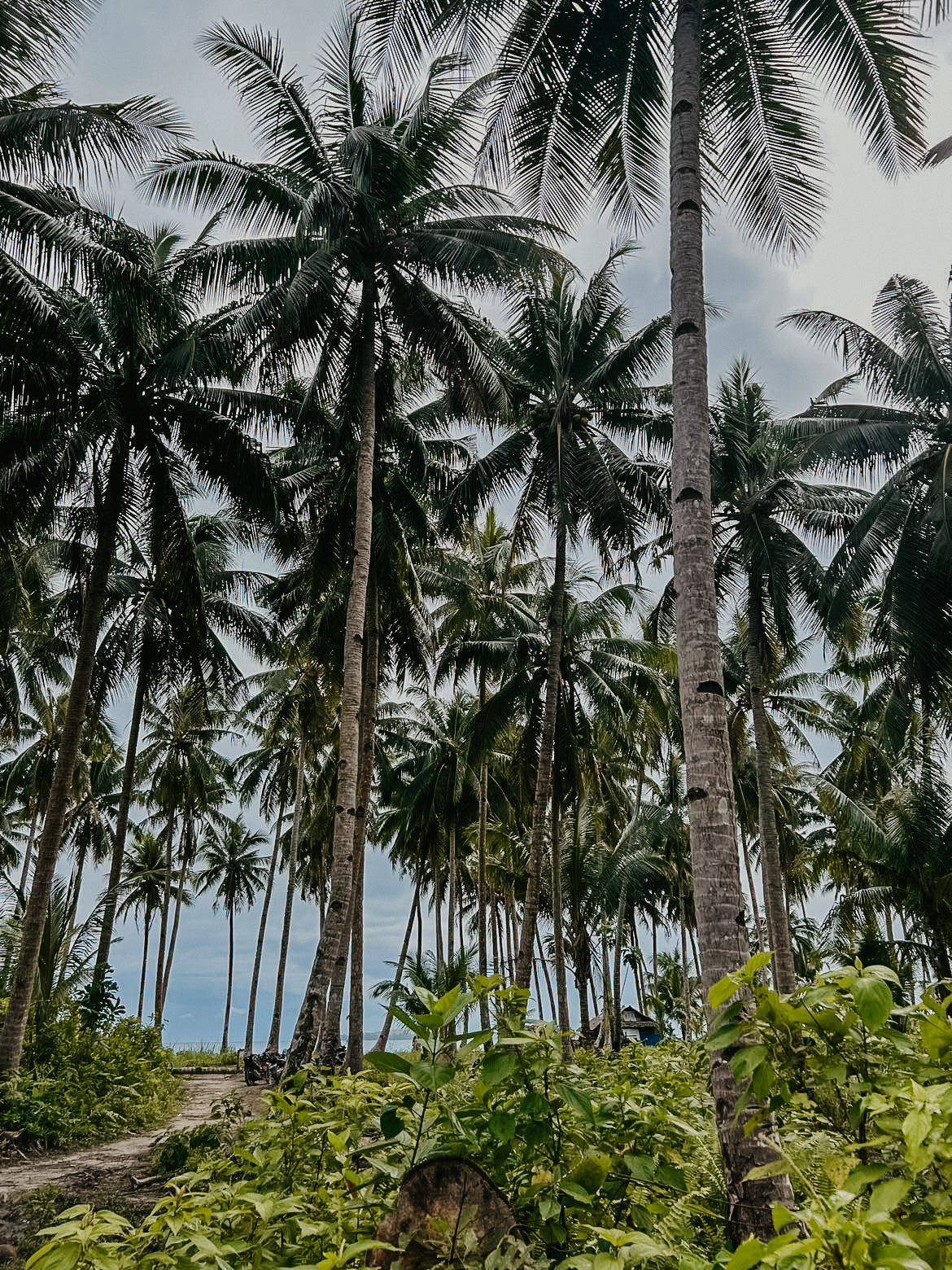 PHILIPPINES - 17 février au 7 mars 2025