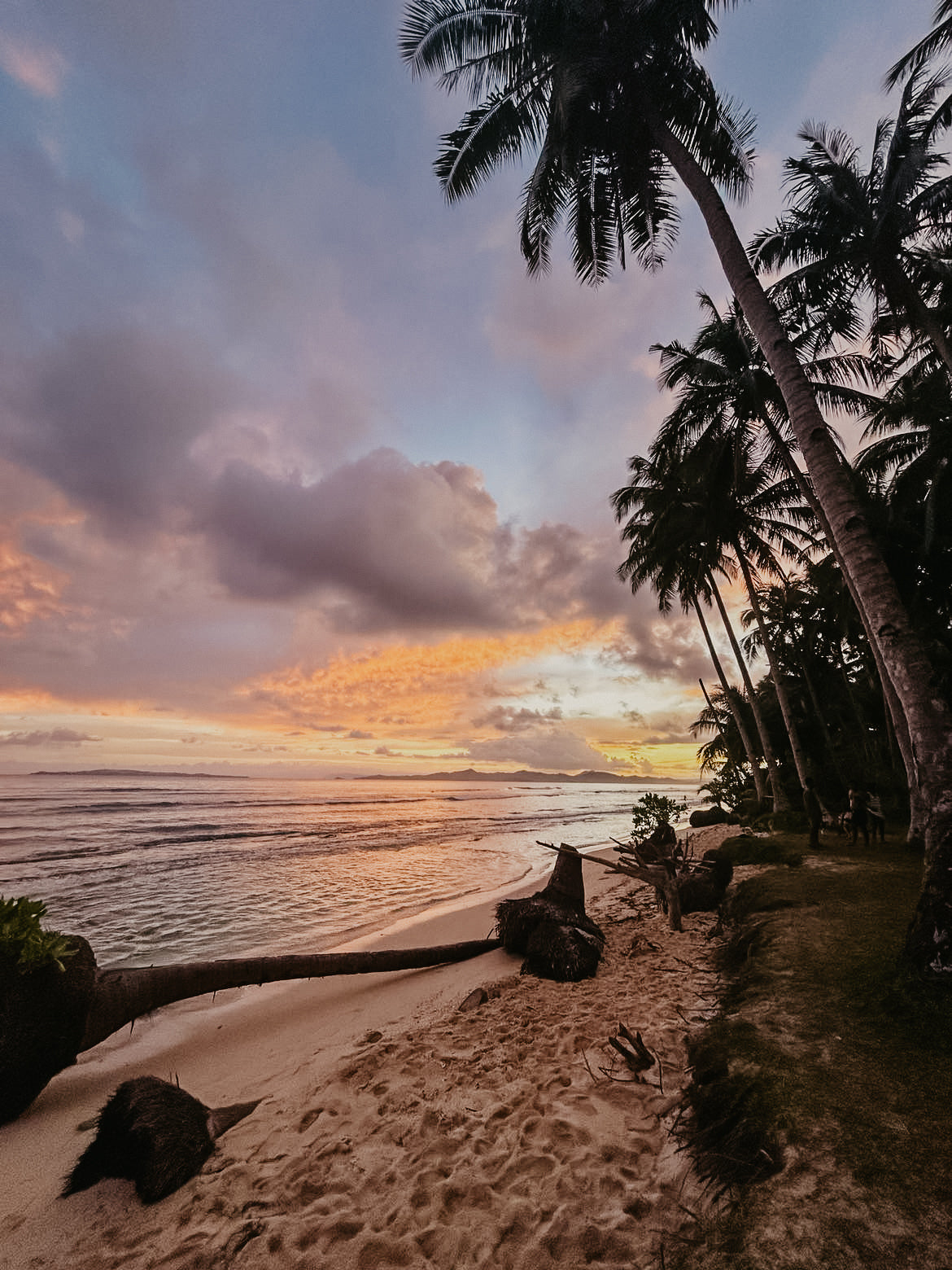 PHILIPPINES - 17 février au 7 mars 2025