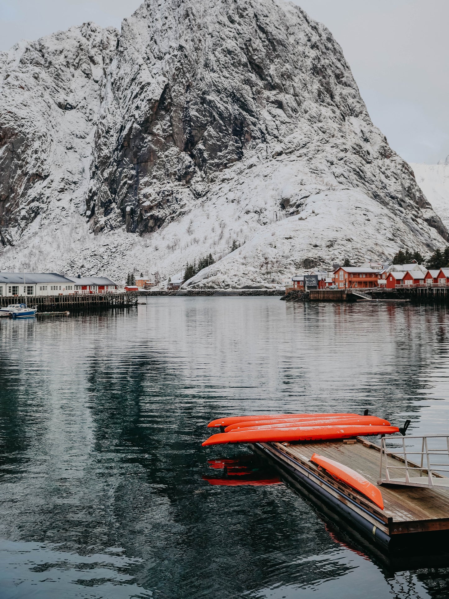 ÎLES LOFOTEN - 5 au 15 mars 2027
