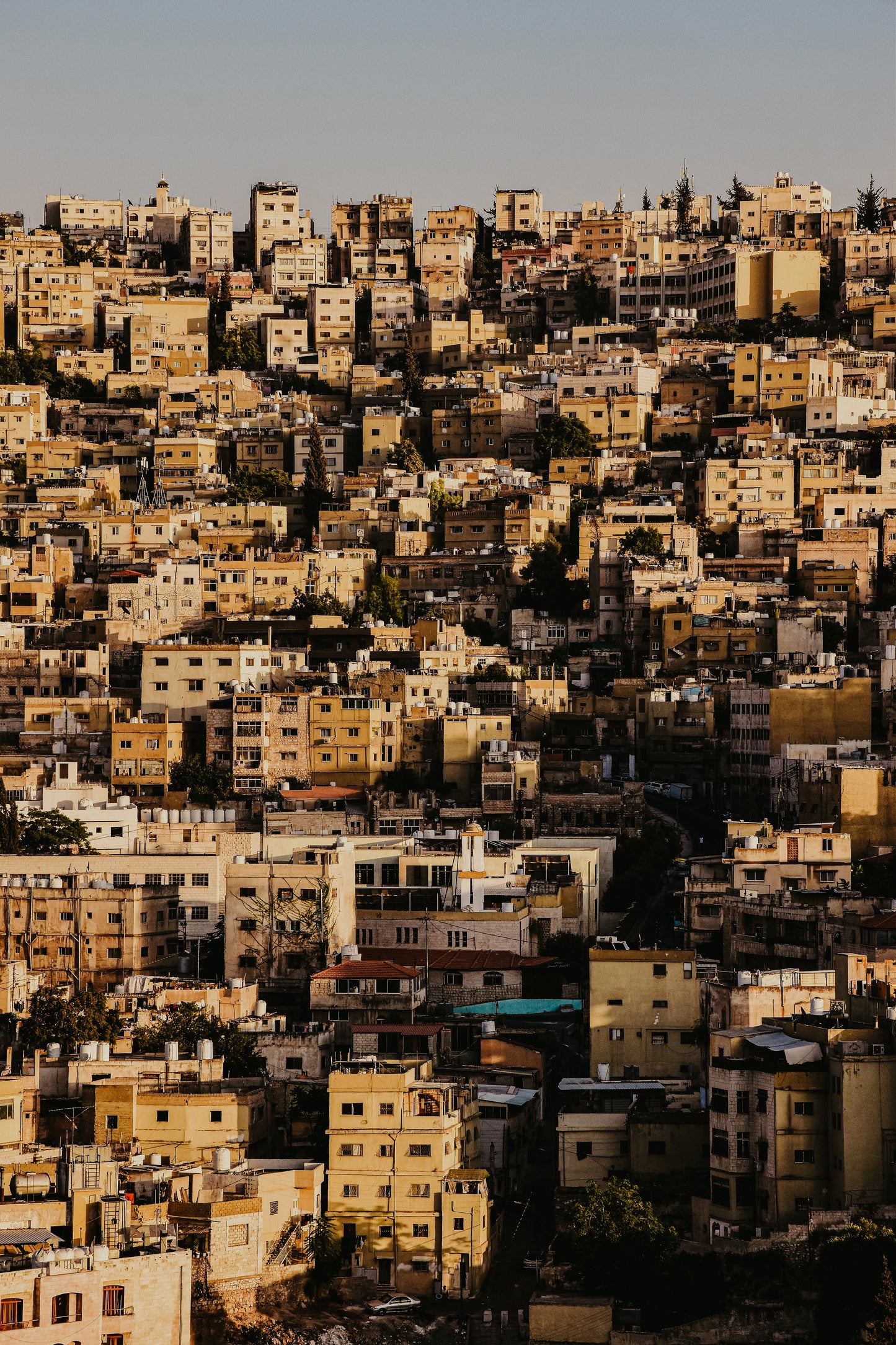 JORDANIE - 7 au 20 novembre 2026